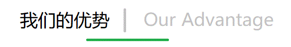 我们的优势